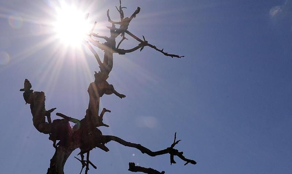 Previsão do Tempo: temperaturas em elevação nos próximos dias em Araçatuba