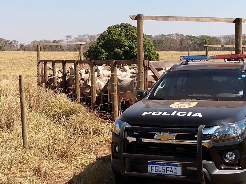 vacas policia
