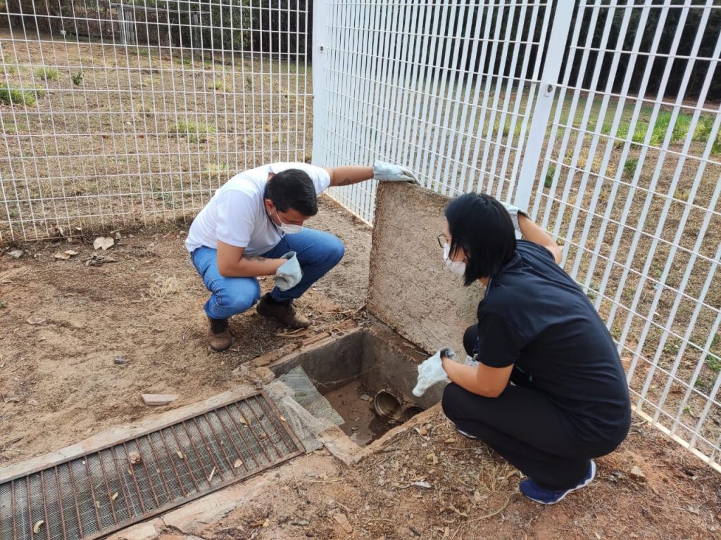 Agentes de Araçatuba intensificam prevenção a escorpiões em escolas

