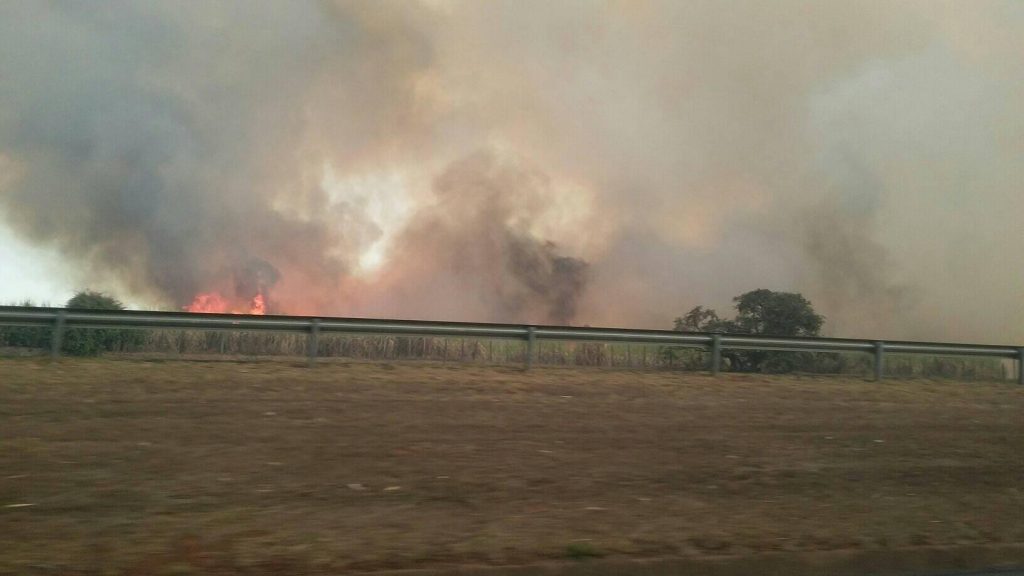 Incêndio de grandes proporções atingiu uma área de vegetação entre Araçatuba e Guararapes 