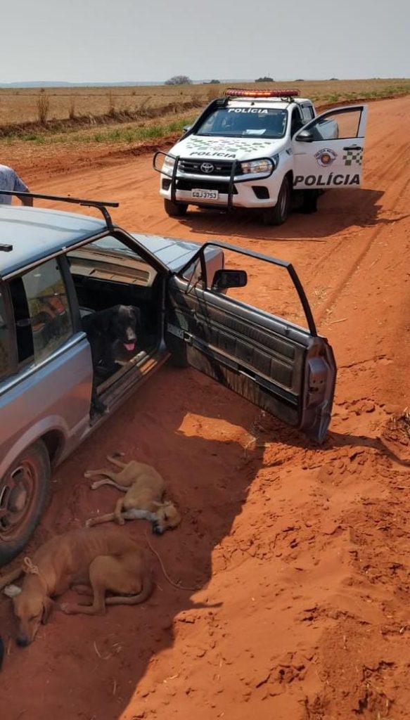 Polícia ambiental autua dupla por caça na zona rural de Aracanguá