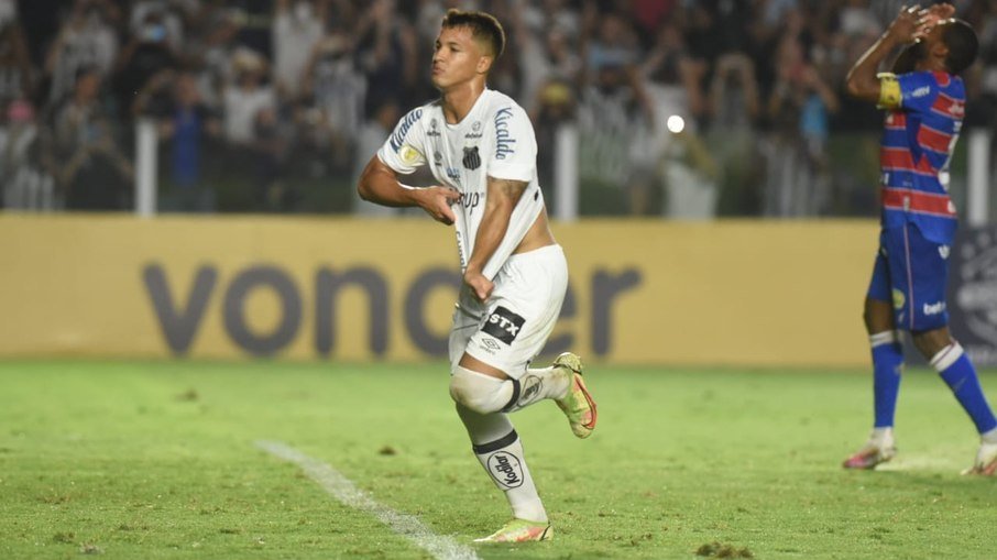 Foto: Ivan Sorti/Santos FC