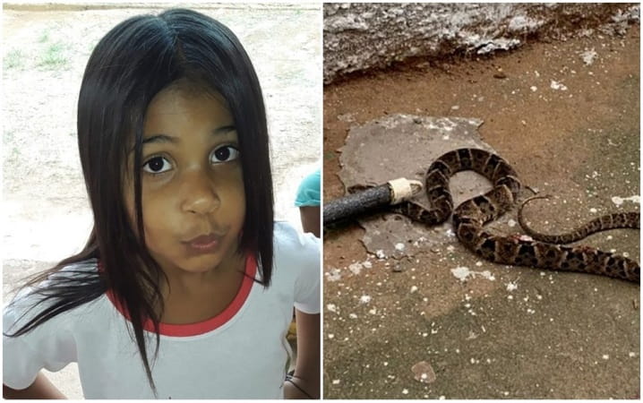 Any Luiza Soares dos Santos foi picada por uma cobra em escola de Iaciara, Goiás — Foto: Montagem/g1 Goiás