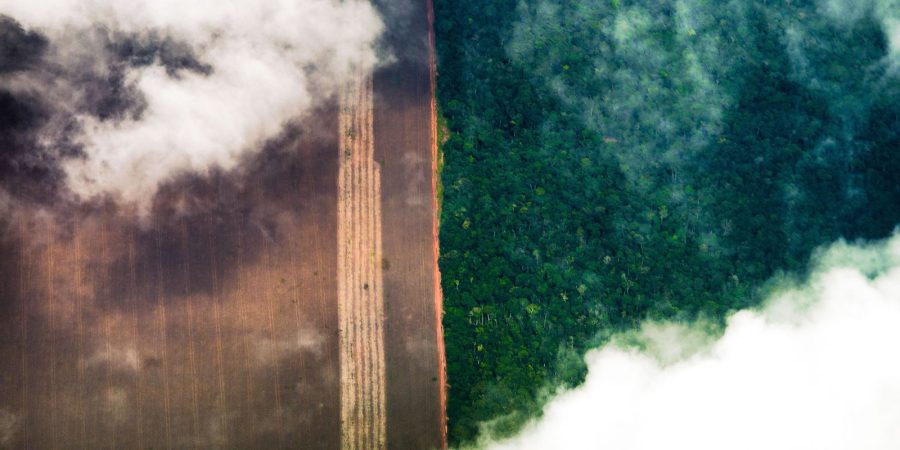 fotografia aerea floresta amazonica