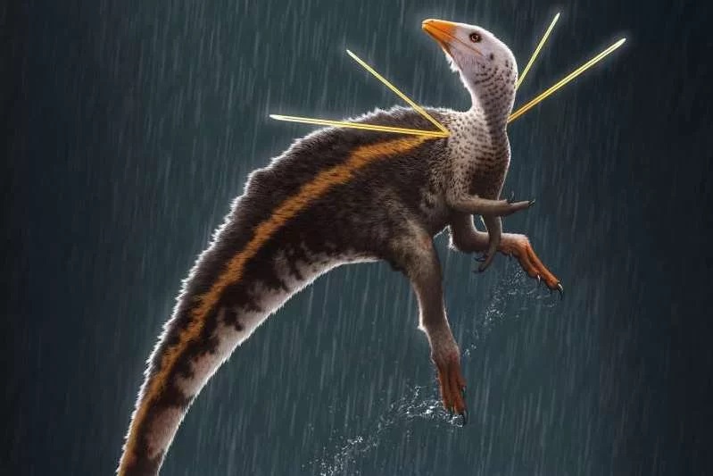 Retrato especulativo da espécie Ubirajara jubatus feito pelo ilustrador Bob Nicholls, publicado no artigo da Cretaceous Research. Imagem: Bob Nicholls / Paleocreations / CP