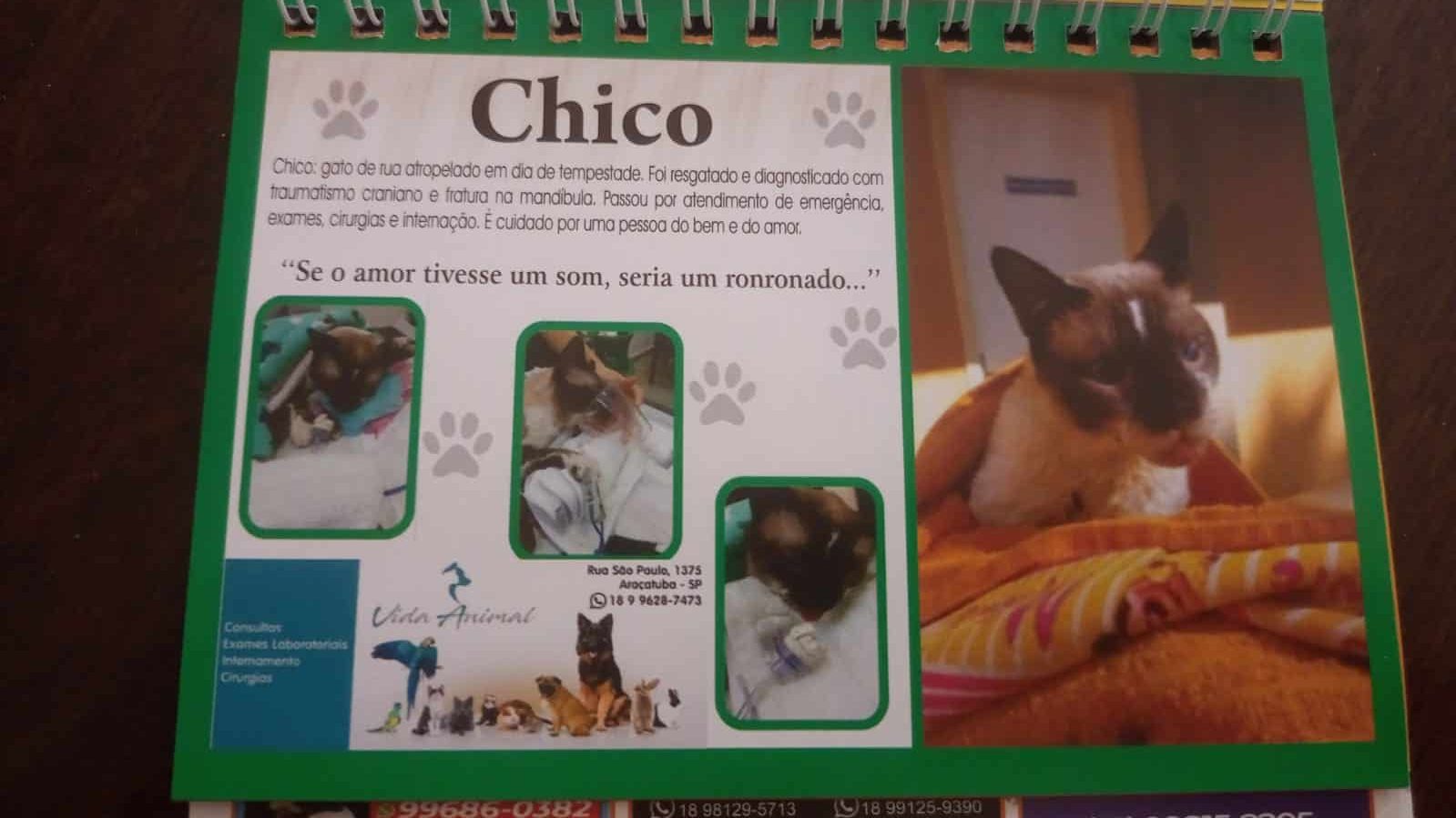 A história do Chico é uma das contadas no calendário organizado pelo Grupo Amigos do Amor