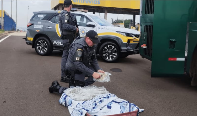 Boliviana é presa com 30 kg de skank em ônibus no interior de SP Boliviana presa 1