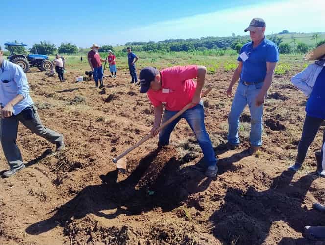 Produtores de Araçatuba recebem curso para cultivo de maracujá assentamento plantio