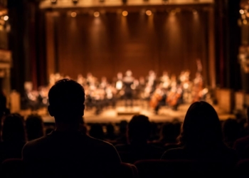 pessoas em uma teatro assistindo um concerto