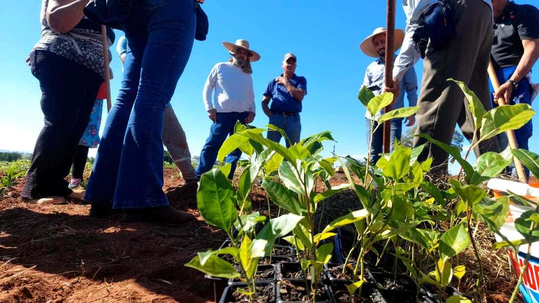 Araçatuba capacita agricultores do Assentamento Chico Mendes para cultivo de maracujá curso de plantio de maracuja