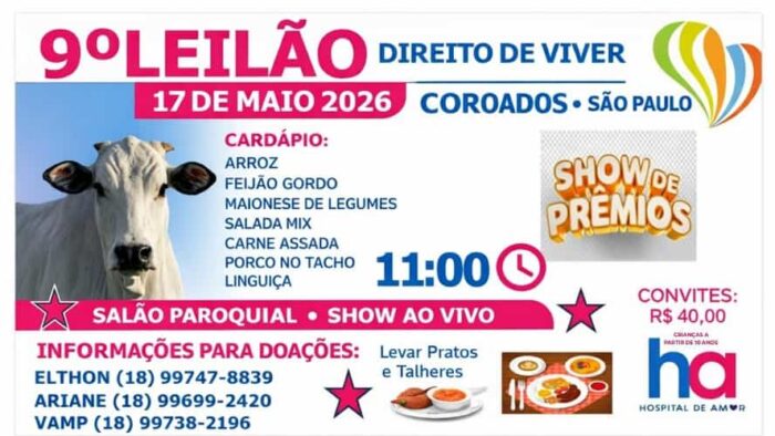 leilao