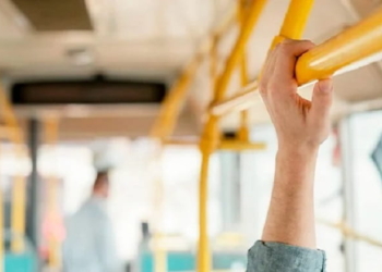 onibus
