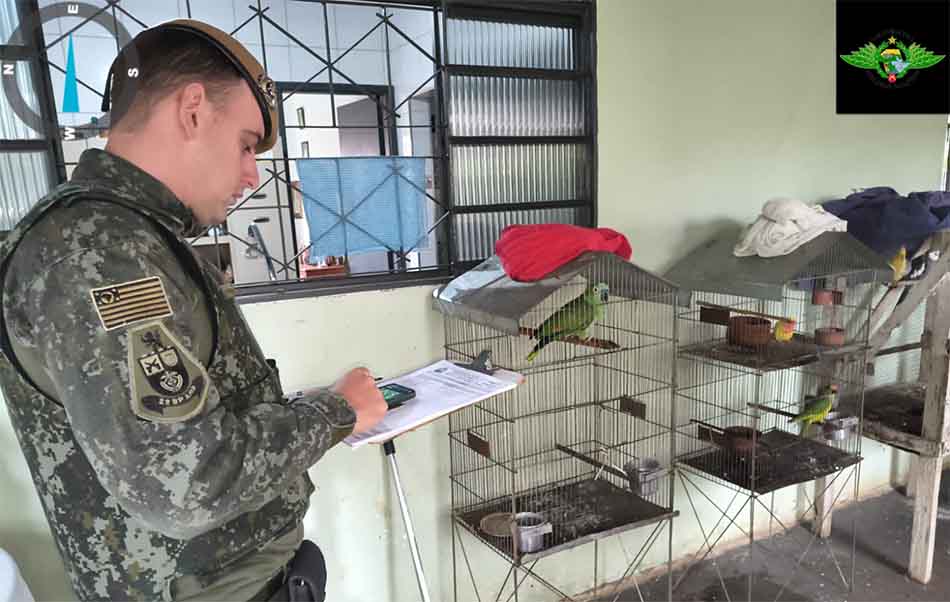 Idosa é multada em R$ 4,2 mil por manter aves silvestres em cativeiro p amb