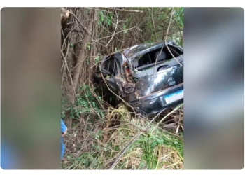 Carro caiu em ribanceira após motorista perder o controle em uma curva — Foto: Defesa Civil de Regente Feijó