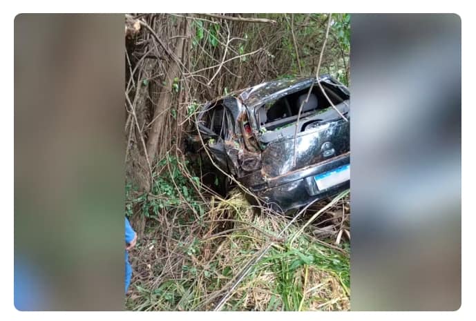Carro sai da pista em curva e despenca em ribanceira no interior de SP Carro caiu em ribanceira após motorista perder o controle em uma curva — Foto: Defesa Civil de Regente Feijó
