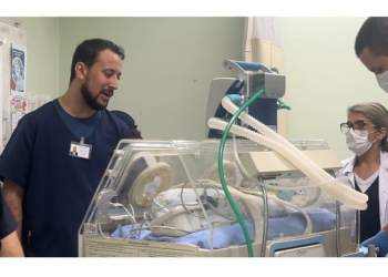 bebes prematuros Transf