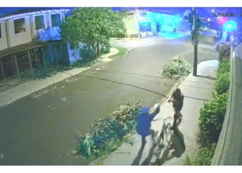 briga vigilantes