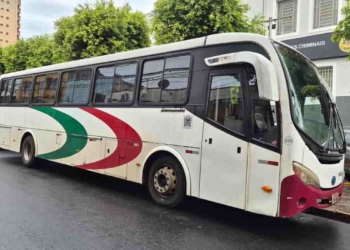 bus sequestro ribeirao