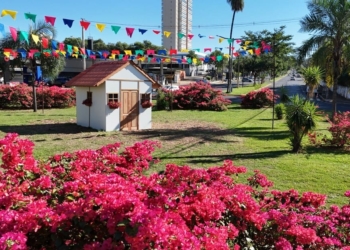 decoracao junina na Avenida Brasilia em Aracatuba
