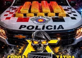 maconha castilho