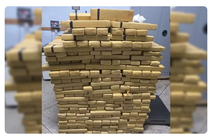 Helicóptero ajuda PM a apreender quase 600 kg de maconha em chácara maconha prudente