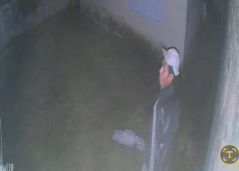 suspeito