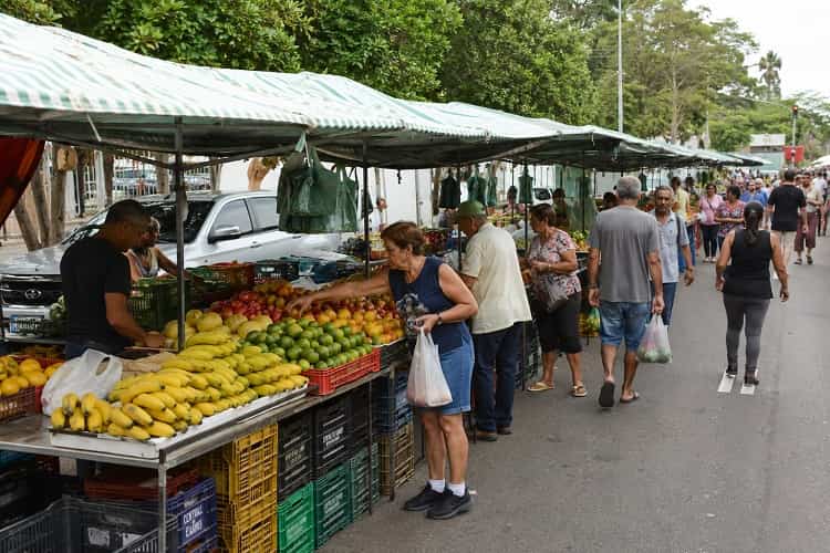 Feira Viva estreia domingo com cultura, artesanato e adoção de animais Imagem ilustrativa gerada por IA