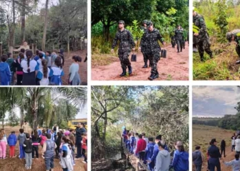 Guararapes caminhada TG