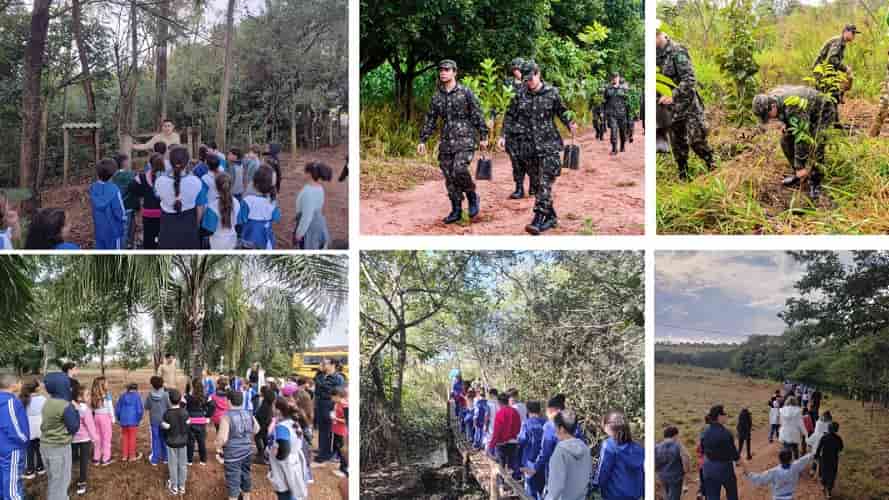 Guararapes reúne estudantes em Caminhada Ecológica pela natureza Guararapes caminhada TG