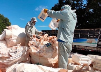 agrotoxico birigui