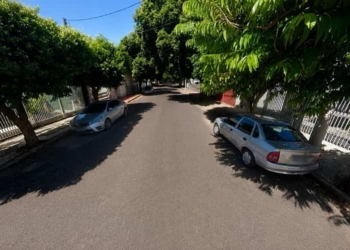arvores sao vicente