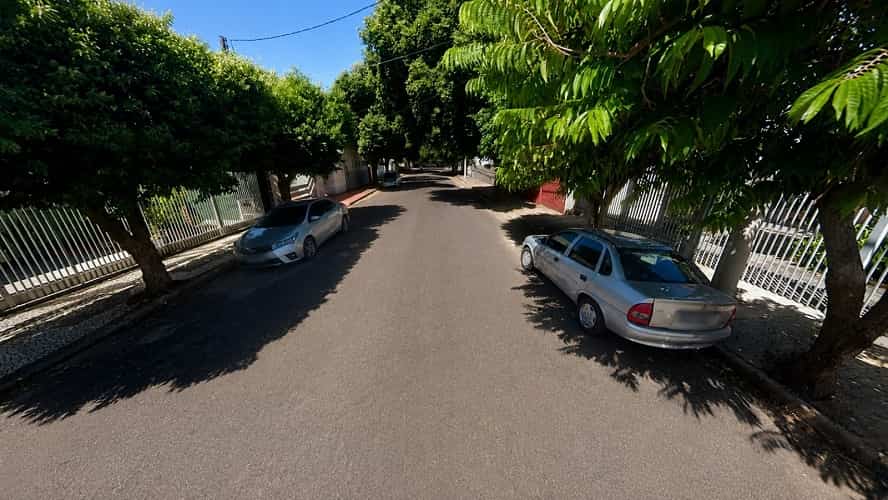 Levantamento de árvores antecede obras de recape em Araçatuba arvores sao vicente