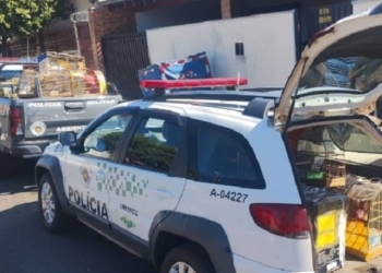 Divulgação/ PM Ambiental
