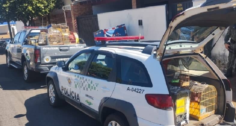 Divulgação/ PM Ambiental