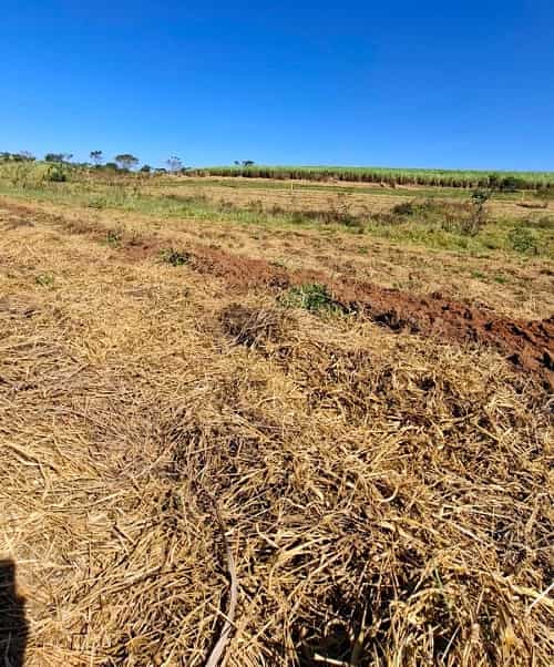 Guararapes inicia reflorestamento para proteger mais de 60% da água da cidade corrego frutal guararapes