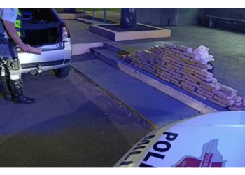 Foto: Polícia Rodoviária/Reprodução