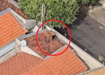 Homem foi localizado pelo helicóptero Águia da PM de Araçatuba