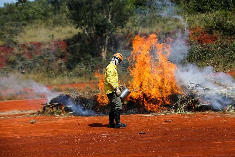 Onda de calor chega a SP e aumenta risco de queimadas no interior Defesa Civil de São Paulo