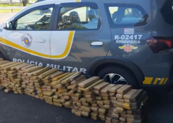 maconha PMR Andradina