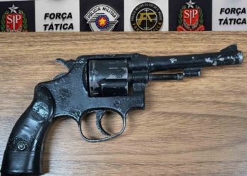 revolver apreendido