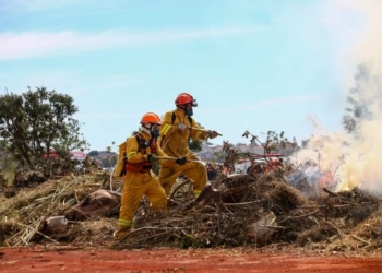 calor incendio fogo