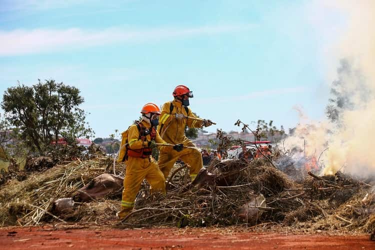 Onda de calor exige cuidados redobrados contra incêndios no interior de SP calor incendio fogo