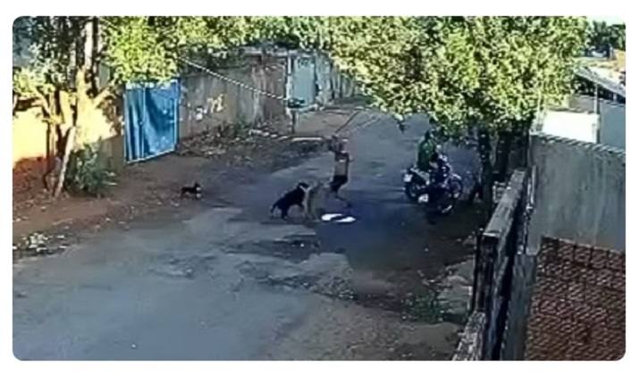 Homem é preso após agredir dois cães a pauladas cao paulada