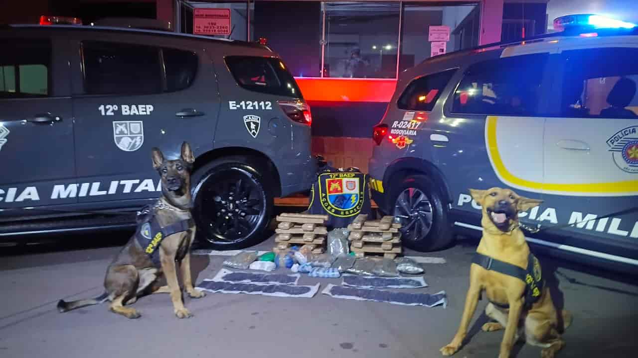 Polícia intercepta drogas em ônibus e prende três suspeitos na SP-300 drogas canil Rodoviaria valpa