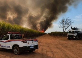 incendio queimada sp