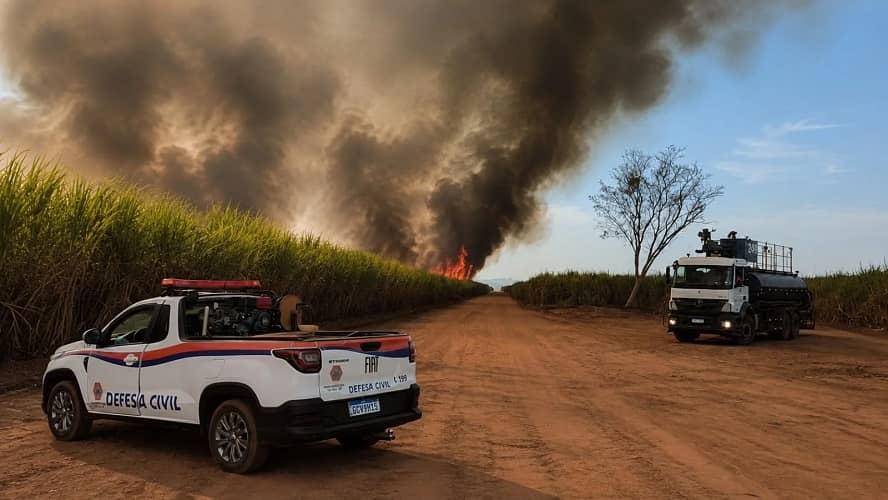 Onda de calor aumenta risco de incêndios em SP; veja como se prevenir incendio queimada sp