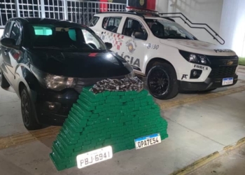 maconha castilho 1