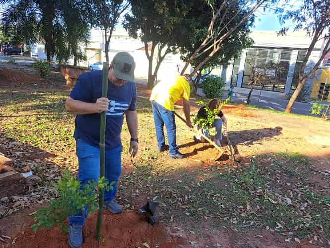 Praça de Araçatuba ganha 47 árvores nativas em ação de compensação ambiental plantio praca ata