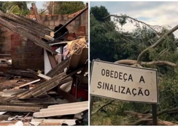 Crédito: Cidadão Net