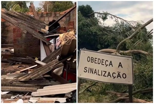 Crédito: Cidadão Net
